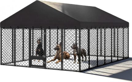 10x14×6.4 FT Heavy Duty Dog Kennel Outdoor with Secure Double Locks