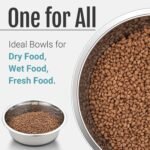 PEGGY11 Nonslip Stainless Steel Dog Bowls, 3.8 US Cup Each, 2 Pack - Image 7