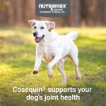Nutramax Cosequin Joint Supplement for Dogs, Chewable Tablets, 132ct - Image 3