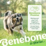Benebone Wishbone Dog Chew Toy for Aggressive Chewers, Real Bacon, Medium - Image 6