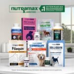 Nutramax Dasuquin MSM Joint Supplement for Large Dogs, Soft Chews, 42ct - Image 10