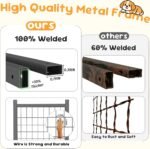 20x10 ft Outdoor Dog Kennel, Heavy Duty Dog Pens for Large Dogs - Image 6