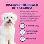 Nutramax Proviable Probiotics + Prebiotics, for Dogs & Cats, Capsules, 80ct - Image 4