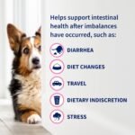Nutramax Proviable Probiotics + Prebiotics, for Dogs & Cats, Capsules, 80ct - Image 6