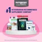 Nutramax Proviable Probiotics + Prebiotics, for Dogs & Cats, Capsules, 80ct - Image 10