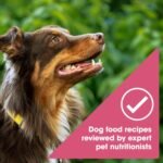 Nature's Recipe Grain Free Salmon Dry Dog Food, 4 lb. Bag - Image 4