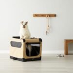 Amazon Basics Portable Folding Soft Dog Crate, Double Door, Collapsible Travel Kennel, Easy to Assemble, Medium, 29.92" x 21.3" x 21.3", Tan - Image 6