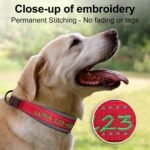 Personalized Dog Collars, Custom Embroidered Name & Phone Number - Image 2