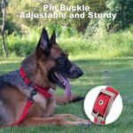 Personalized Dog Collars, Custom Embroidered Name & Phone Number - Image 3
