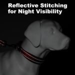 Personalized Dog Collars, Custom Embroidered Name & Phone Number - Image 5