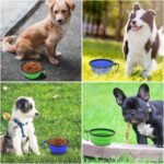 Dog Bowl Pet Collapsible Bowls, 2 Pack for Cats Dogs, Portable Pet Feeding Watering Dish for Walking Parking Traveling with 2 Carabiners (Small, Blue+Green) - Image 3