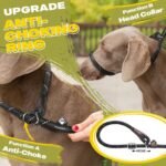Fida Durable Slip Lead Dog Leash, 6 FT x 1/2" Dog Training Leash, Black - Image 3