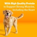 Pedigree High Protein Adult Dry Dog Food, Beef and Lamb, 18 lb - Image 7