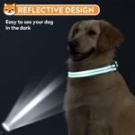 Reflective Dog Collar, Adjustable Soft Neoprene Padded,Teal,M - Image 4