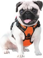 PHOEPET No Pull Dog Harness Medium Reflective Front Clip Vest with Handle - Image 6