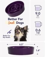 LE TAUCI Ceramic Slow Feeder Dog Bowls Small Breed, 0.6 Cups Dog Food Dish for Fast Eaters, Puzzle Bowl for Small Dogs and Cats,Purple - Image 3