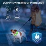 Super Bright LED Dog Collar, Waterproof Light up Collars(Green, Medium) - Image 4