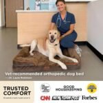 Bedsure Orthopedic Dog Beds Large Sized Dog Washable Original Design - Image 2