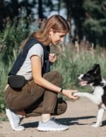 heouvo 1.67 Cup Magnetic Dog Treat Pouch with Training Clicker (Black) - Image 3