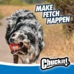 Chuckit! Dog Ball Launcher 12M Sport, Plastic, Great for Kids - Image 7