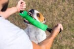 Bull Fit K9 Dog Bite Tug Toy with 2 Strong Handles - Made of Durable & Tear-Resistant French Linen - Perfect for Tug of War, Fetch & Puppy Training - Ideal for Medium to Large Breeds - Image 9
