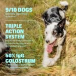 Wuffes Dog Allergy Chews, Anti-Itch Support for Itchy Skin & Paw Licking. Colostrum (50% IgG), Quercetin, Omega-3 & Turkey Tail. Supports Immune & Histamine Response for Allergy Support. 60 Chews - Image 4