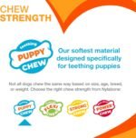 Nylabone Puppy Pacifier Chew Toy, Teething Toys for Puppies up to 25 lbs - Image 5