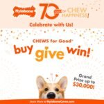 Nylabone Puppy Pacifier Chew Toy, Teething Toys for Puppies up to 25 lbs - Image 9