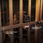 Hiwokk 48 Inch Heavy Duty Dog Crate, Indestructible Kennel for Large Dogs - Image 3