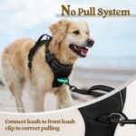 rabbitgoo Dog Harness, No Pull for Large Dogs with 2 Leash Clips, Pet Vest - Image 5