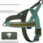Annchwool No Pull Dog Harness with Soft Padded Handle & Front Clip(Green,L) - Image 4