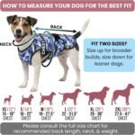 Dog Cooling Vest, 2-Layer Microfiber Cooling Jacket, Blue, L - Image 6