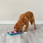 Outward Hound Nina Ottosson Dog Brick Dog Toy Treat Puzzle, 12.8" - Image 8