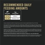 Purina Pro Plan Small Breed Dry Dog Food, Shredded Blend, 6 lb Bag - Image 5