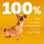 Pedigree Small Dogs Dry Dog Food, Grilled Steak and Vegetable, 14 lb - Image 3