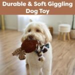 SPOT Gigglers Chicken Dog Toy with Giggle Sound, Textured Plush Tug Toy with Rope Legs, 12" for Small and Medium Dog Breeds - Image 4