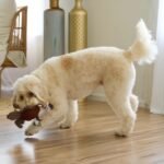 SPOT Gigglers Chicken Dog Toy with Giggle Sound, Textured Plush Tug Toy with Rope Legs, 12" for Small and Medium Dog Breeds - Image 7