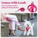 rabbitgoo Dog Harness Small Sized and Leash Set, Step-in Puppy Pet Vest - Image 5