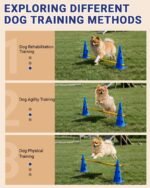 Dog Agility Course Backyard Set, Dog Agility Hurdle Cone Set with Height Adjustable Crossbar for Rehabilitation & Beginners, Dog Agility Equipment for Dog Obstacle Course - 12 Inch - Image 3