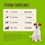Waggin' Train Chicken Jerky Dog Treats, Made with 100% Real Chicken Breasts, Only Two All-Natural Ingredients, Great High Protein Dog Treat, Easily Digestible for Big or Small Dogs, 30 oz. Pouch - Image 5