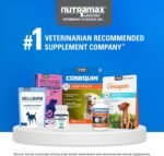 Nutramax Cosequin Dog Joint Supplement, MSM & HA, Chewable Tablets, 75ct - Image 6