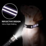 Martingale Collar for Dogs,Reflective Escape Proof,Purple,M - Image 2