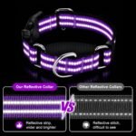 Martingale Collar for Dogs,Reflective Escape Proof,Purple,M - Image 3