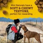 Zuke’s Mini Naturals Dog Training Treats for Dogs, Pet Treats Made with Real Peanut Butter- 16 oz. Bag - Image 4