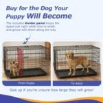 FDW | 48" Foldable Metal Dog Crate | Dark Black | Cage for XL Dogs - Image 3