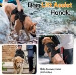 rabbitgoo Escape Proof Dog Harness for Large, No Pull with Lift Handle - Image 3