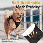 rabbitgoo Escape Proof Dog Harness for Large, No Pull with Lift Handle - Image 6