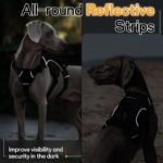 rabbitgoo Escape Proof Dog Harness for Large, No Pull with Lift Handle - Image 8