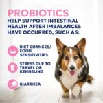 Nutramax Proviable Probiotics + Prebiotics for Dogs, Chewable Tablets, 60ct - Image 6