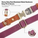 Plutus Pet Genuine Leather & Hemp Dog Collar, Adjustable, Gentle & Stylish - Image 5